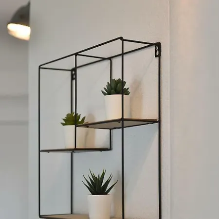 Carpe Diem Daire Kali