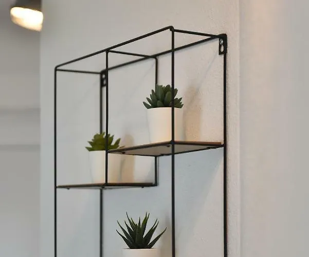 Carpe Diem Apartman Kali